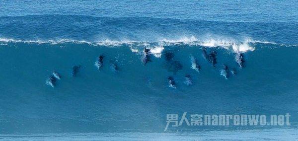 乾隆钦定医书之大成《御纂医宗金鉴》