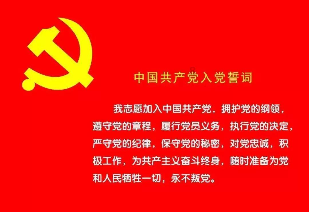 猫和老鼠官方手游