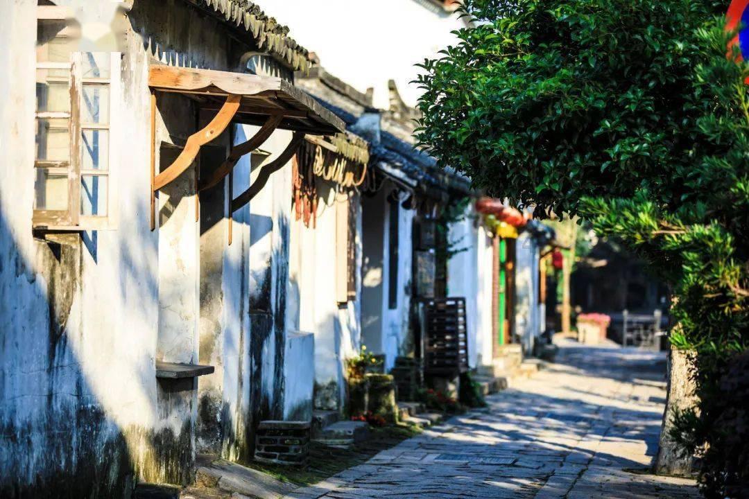 紫色怎么搭配游戏画面